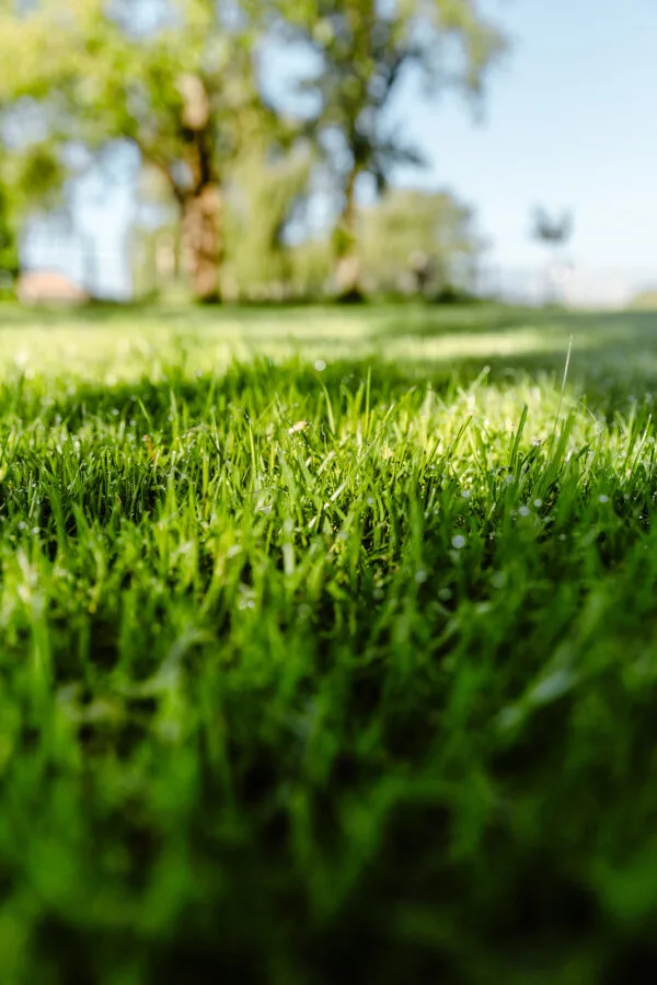 Met de aanpak van Verspeek Graszoden herstel je jouw grasmat en breng je het weer snel in topconditie.