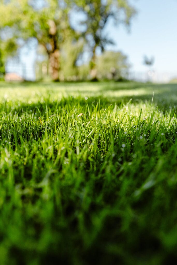 Met de aanpak van Verspeek Graszoden herstel je jouw grasmat en breng je het weer snel in topconditie.