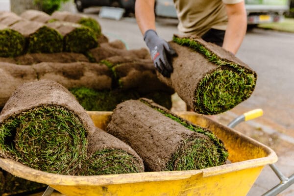 Graszoden laten leggen - Afbeelding 3