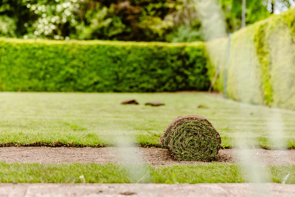 Vers gelegde, onkruidvrije graszoden voor een direct groen gazon