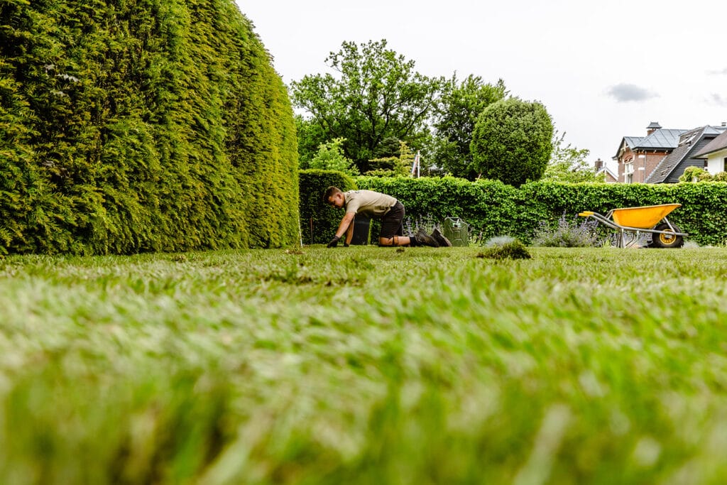 snelle oplossing voor een groen gazon
