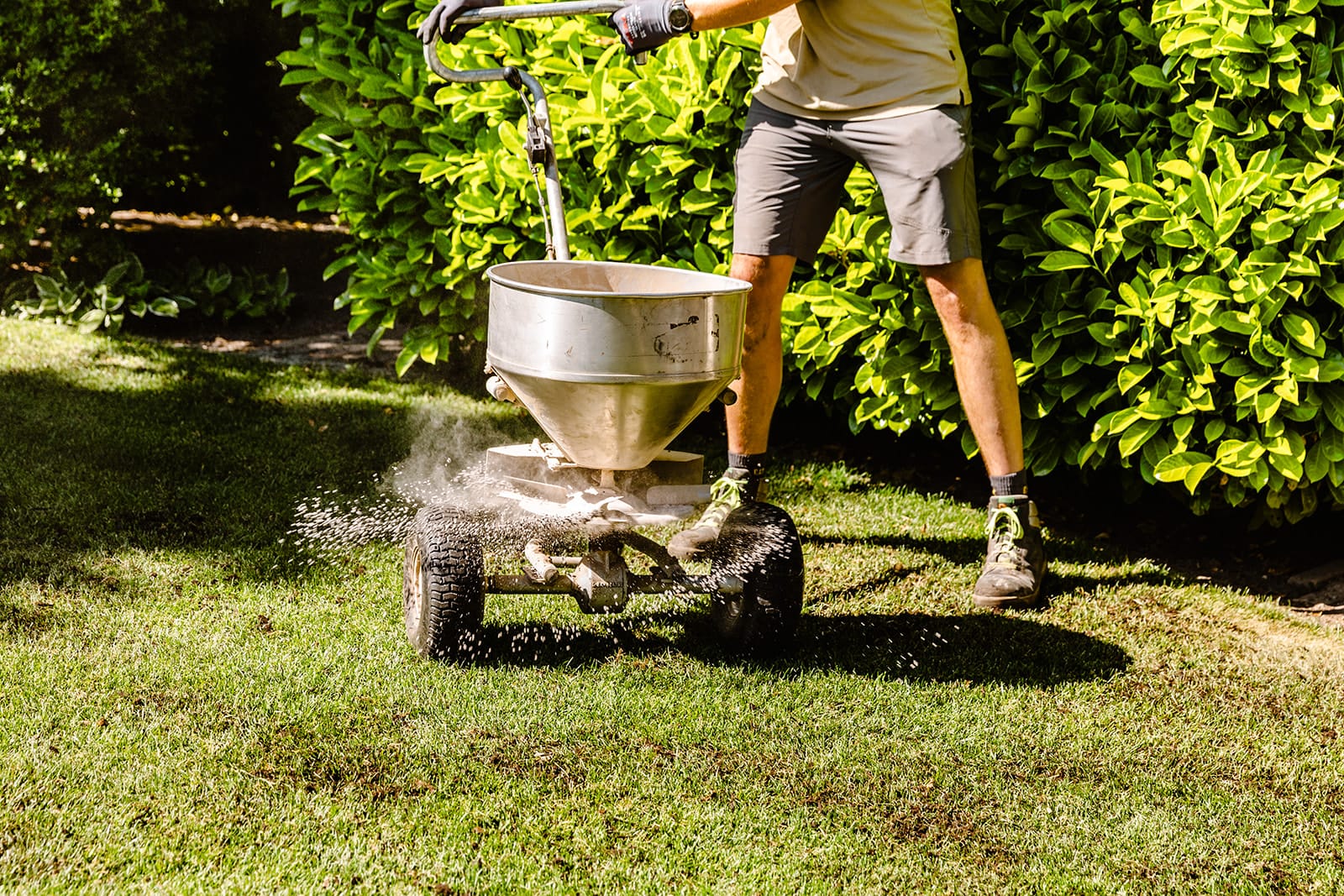 langwerkende gazonvoeding van Verspeek Graszoden