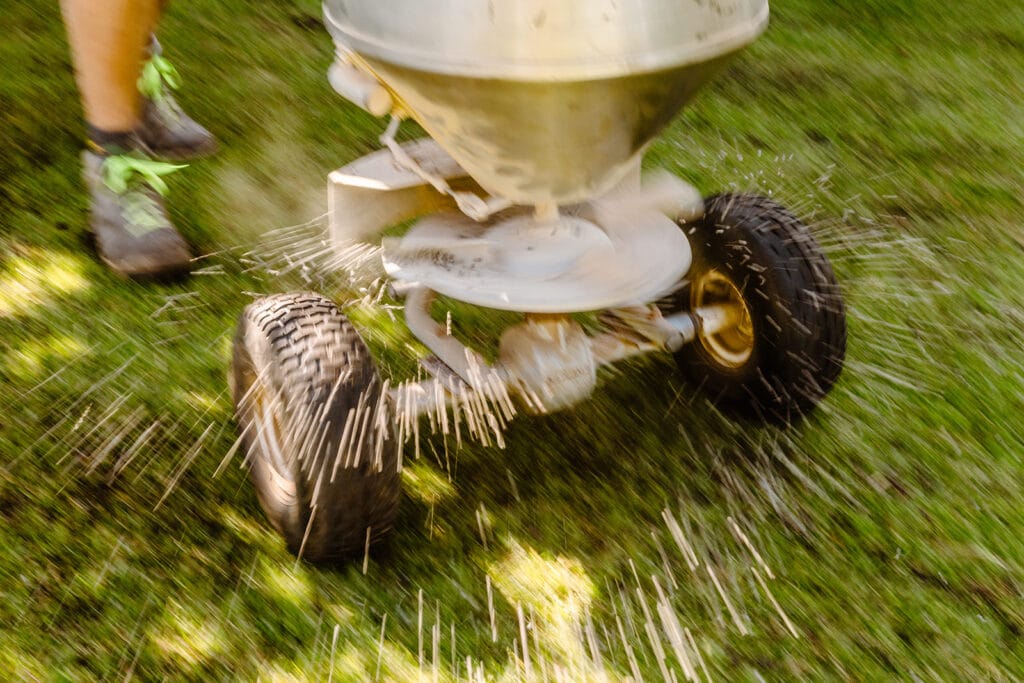 Een mooi, gezond gazon vraagt om regelmatige bemesting.