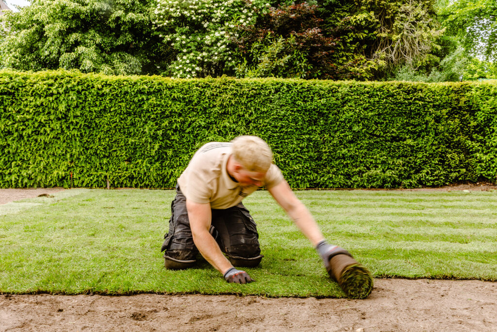 Ein mitarbeitr von Verspeek Graszoden hebt ein Stück Rollrasen an, um es in einem Garten zu verlegen. Der Rasen ist frisch und grün.