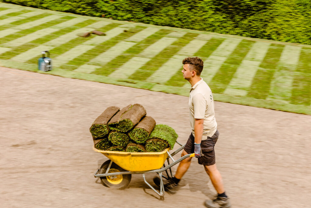 Ein Mann fährt mit einer Schubkarre voller Rollrasen, um einen Rasen anzulegen.