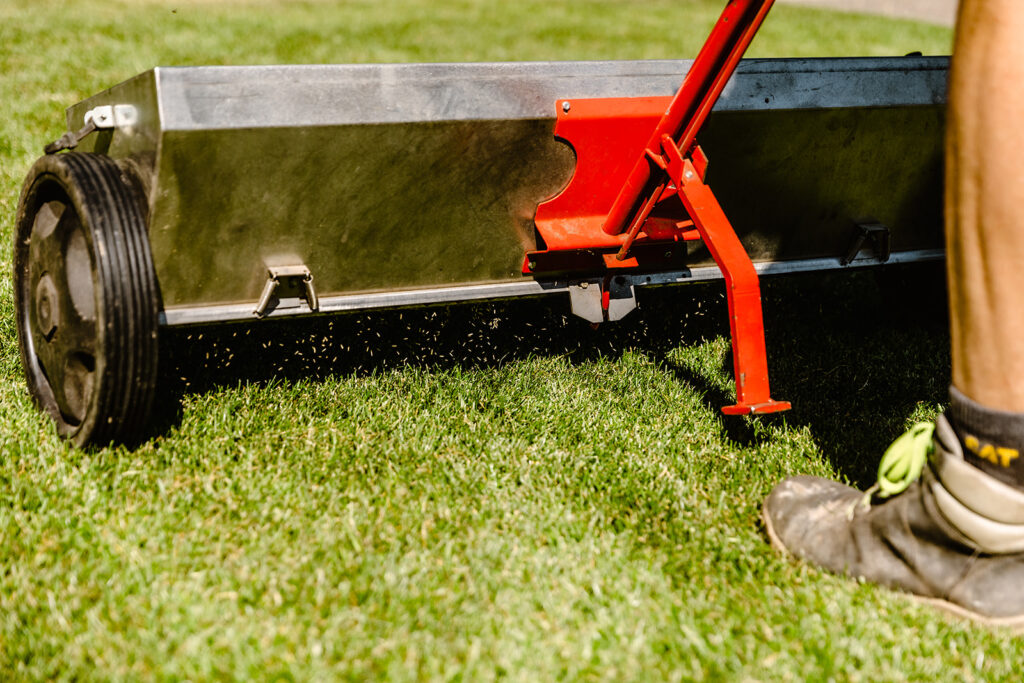 Ein gepflegter Garten mit einem frisch nachgesäten Rasen. Im Hintergrund steht ein Gartenhaus, das von Bäumen und Sträuchern umgeben ist. Der Rasen zeigt eine gleichmäßige grüne Farbe.