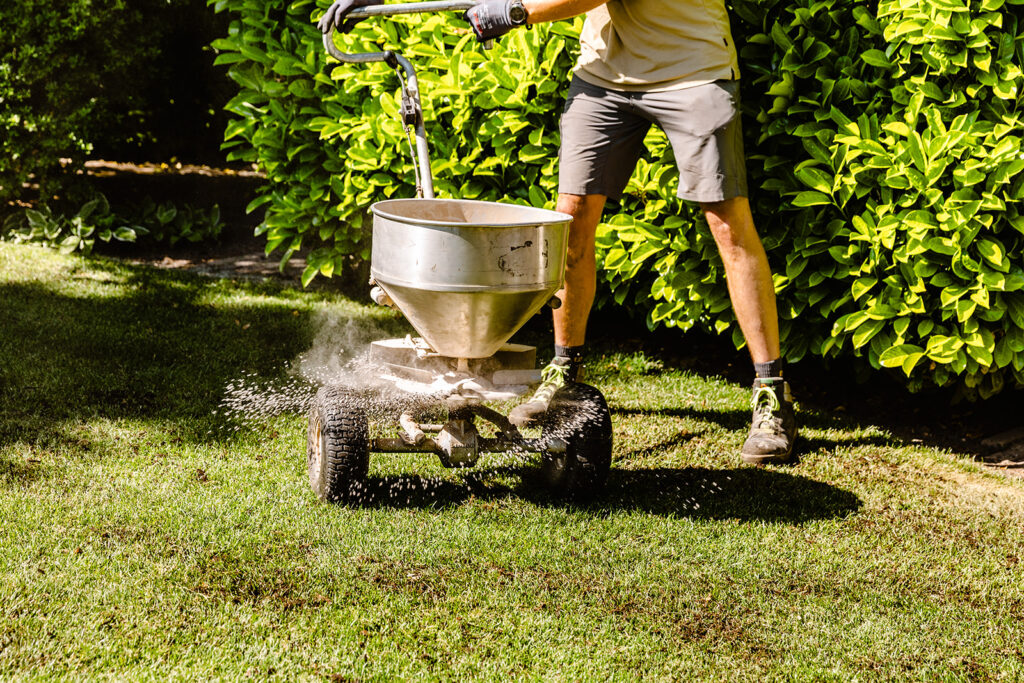 Der Dünger besteht aus kleinen, gleichmäßigen Granulen und ist ideal für die Pflege von Rollrasen, um das Wachstum und die Gesundheit des Grases zu fördern.