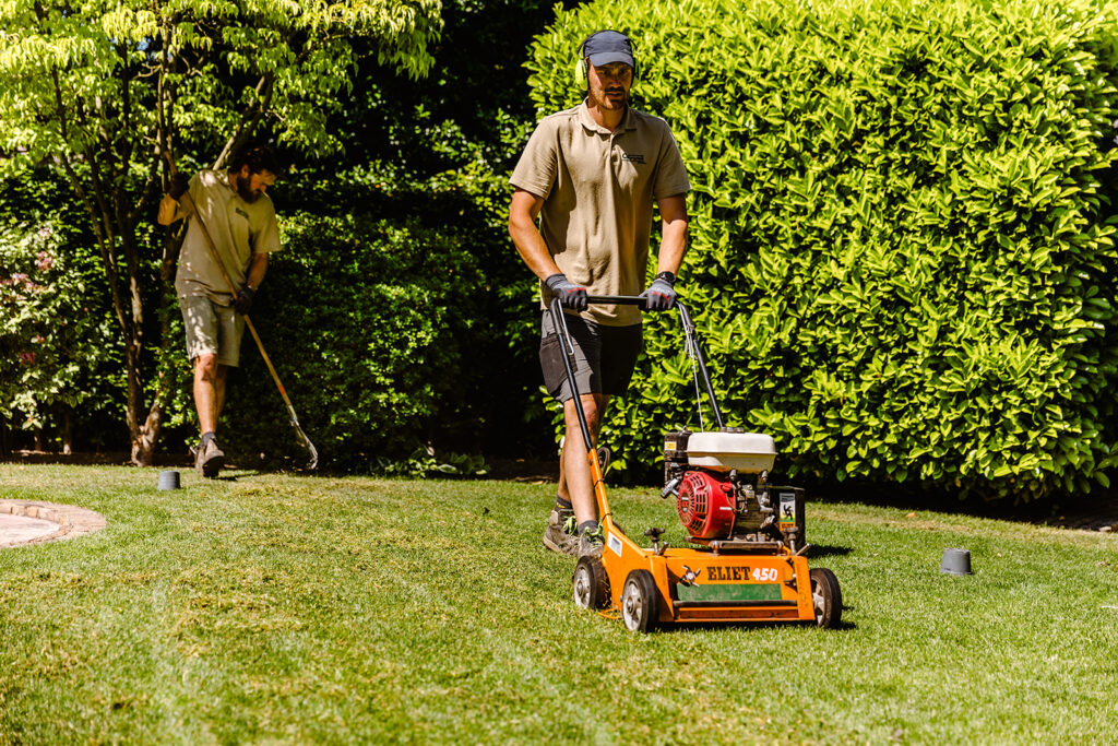 Vertikutieren entfernt Rasenfilz und Moos, während der Auffangbehälter die überschüssigen Pflanzenreste aufnimmt. Diese Methode fördert die Belüftung und das Wachstum des Rasens.