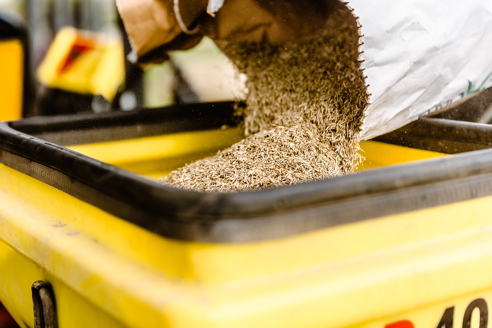 Sorgfältig ausgewähltes Rasensaatgut liegt in einem Saatbehälter.